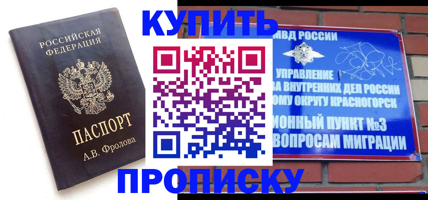 прописка поиск в Почепе
